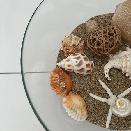 Il E L'azzurro * Sabaudia