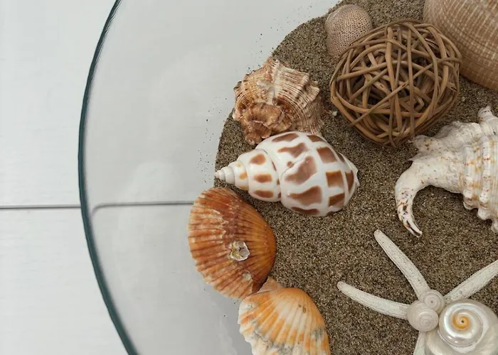 Il E L'azzurro * סבאודיה